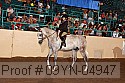 09yn-04947 thumbnail