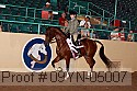 09yn-05007 thumbnail
