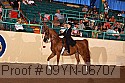 09yn-06707 thumbnail
