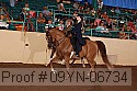 09yn-06734 thumbnail