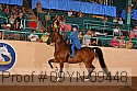 09yn-09448 thumbnail