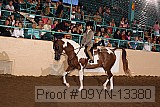 09yn-13380 thumbnail