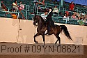 09yn-08621 thumbnail