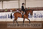 09yn-10804 thumbnail