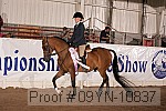 09yn-10837 thumbnail