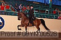 09yn-00528 thumbnail