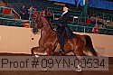09yn-00534 thumbnail