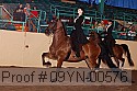 09yn-00576 thumbnail