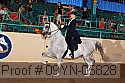 09yn-05828 thumbnail