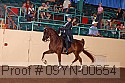 09yn-00654 thumbnail