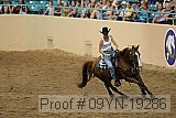 09yn-19286 thumbnail