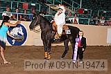 09yn-19474 thumbnail