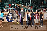 09yn-19477 thumbnail
