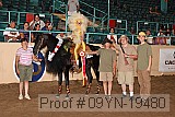09yn-19480 thumbnail