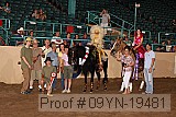 09yn-19481 thumbnail