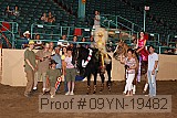 09yn-19482 thumbnail