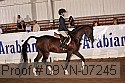 09yn-07245 thumbnail