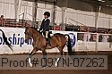 09yn-07262 thumbnail