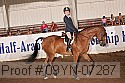 09yn-07287 thumbnail