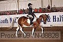 09yn-08828 thumbnail