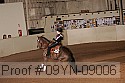 09yn-09006 thumbnail