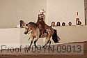 09yn-09013 thumbnail