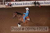 09yn-17024 thumbnail