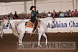 09yn-15205 thumbnail