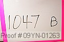 09yn-01263 thumbnail