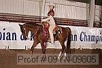 09yn-09805 thumbnail