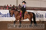 09yn-09808 thumbnail