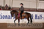 09yn-09809 thumbnail