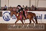 09yn-09814 thumbnail