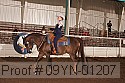 09yn-01207 thumbnail