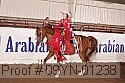 09yn-01238 thumbnail