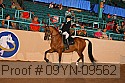 09yn-09562 thumbnail