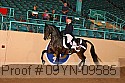09yn-09585 thumbnail