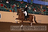 09yn-15915 thumbnail