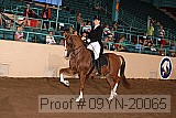 09yn-20065 thumbnail
