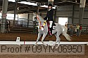09yn-06950 thumbnail