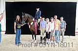 09yn-18011 thumbnail