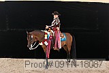 09yn-18087 thumbnail