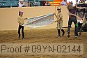 09yn-02144 thumbnail