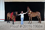 09yn-19684 thumbnail