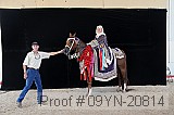 09yn-20814 thumbnail