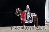 09yn-20815 thumbnail