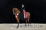 09yn-21249 thumbnail