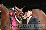 09yn-13607 thumbnail