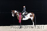 09yn-13611 thumbnail