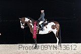 09yn-13612 thumbnail